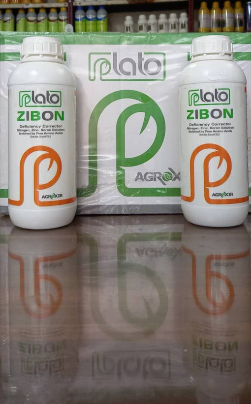 فروت ست اگرو اکسیر زیبون اسپانیا 1LIPLATO ZIBON