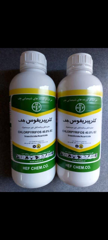 حشرهکش دورسبان کلرپیریفوس هف