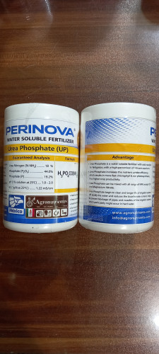 اوره فسفات پرینوا مکزیک 1Kg