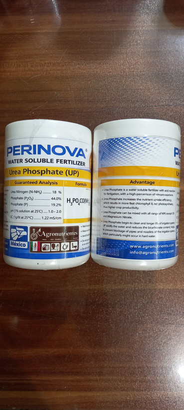 اوره فسفات پرینوا مکزیک 1Kg