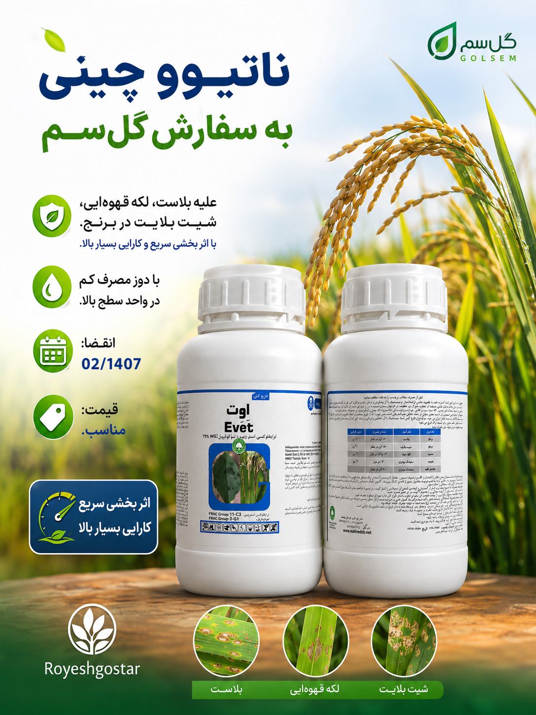 🌾🌾ناتیوو چینی به سفارش گل‌سم200g