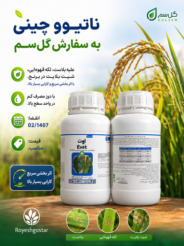 🌾🌾ناتیوو چینی به سفارش گلسم200g