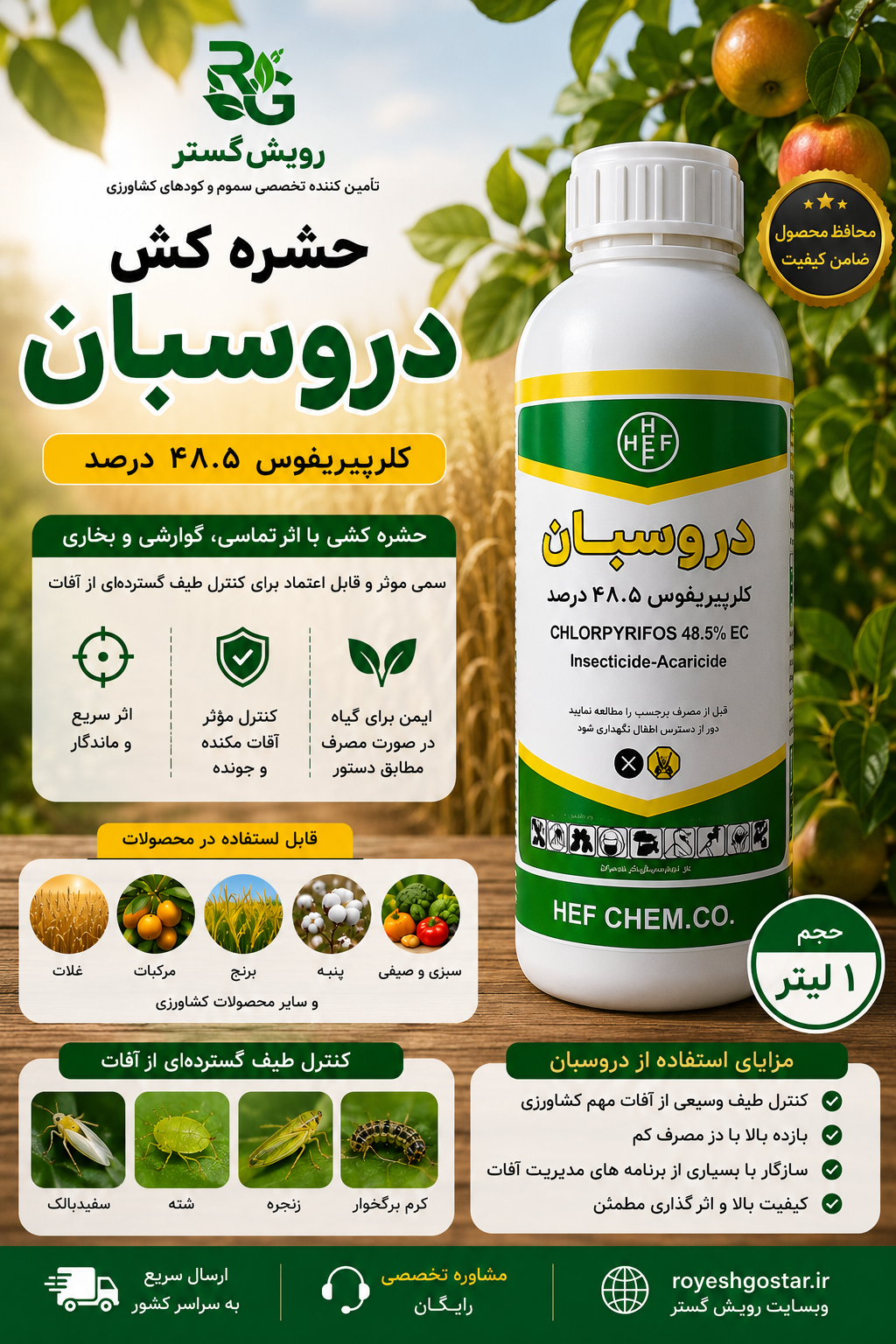دروسبان هف
