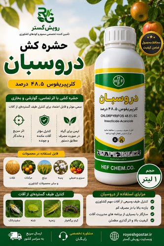 دروسبان هف