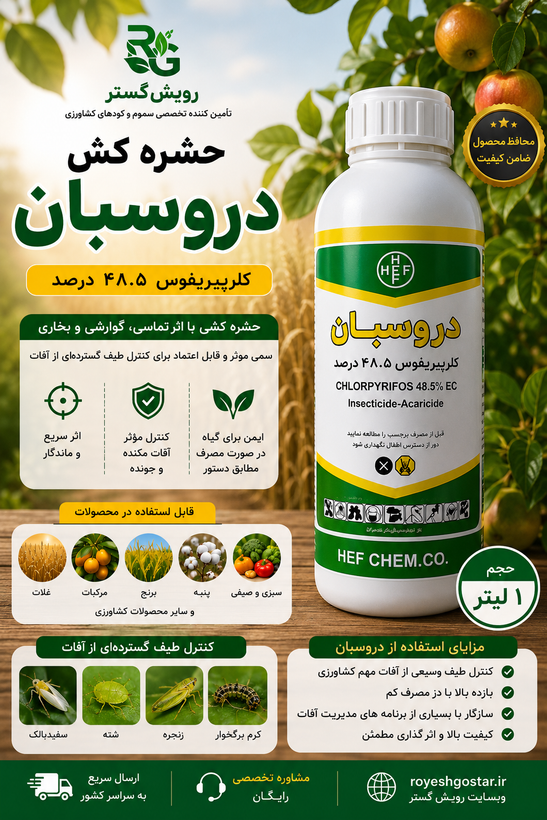 دروسبان هف